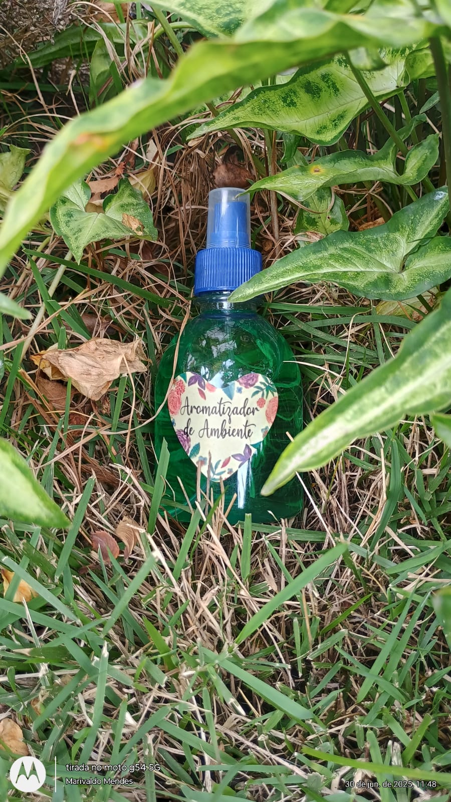 WhatsApp Image 2025-06-30 at 13.52.02 (2).jpeg