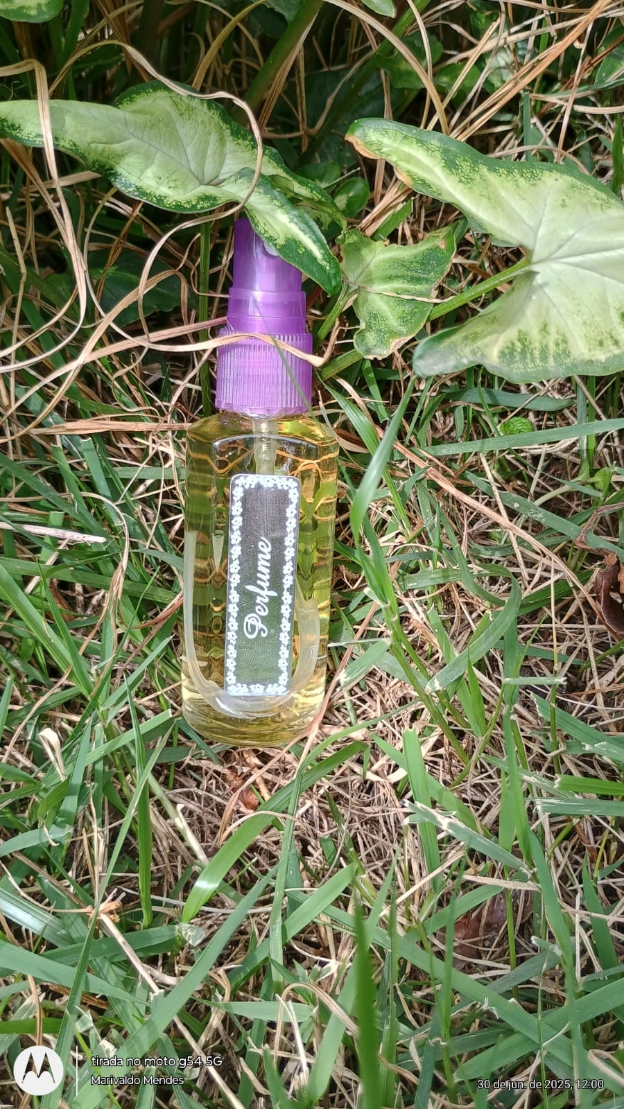 WhatsApp Image 2025-06-30 at 13.51.59.jpeg