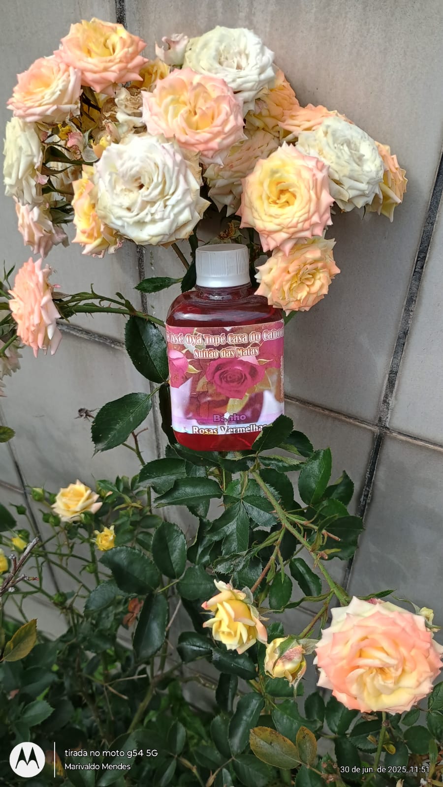 WhatsApp Image 2025-06-30 at 13.52.01 (1).jpeg