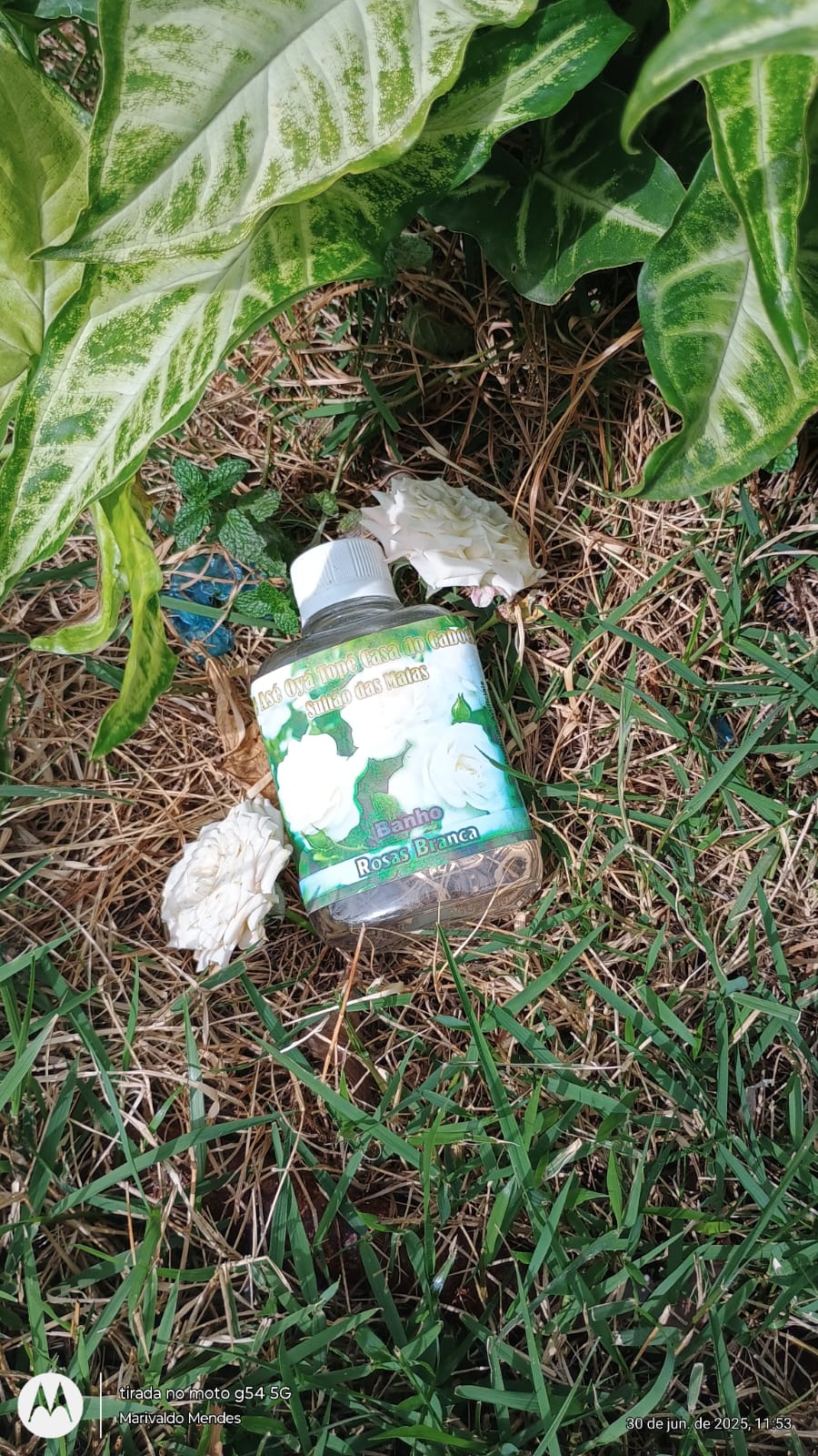 WhatsApp Image 2025-06-30 at 13.52.01.jpeg