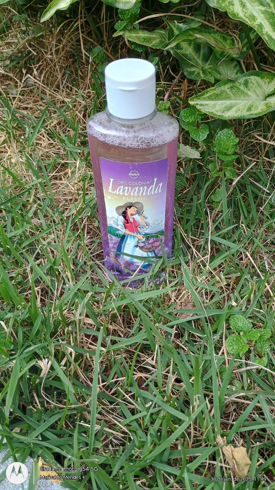 WhatsApp Image 2025-06-30 at 13.52.02.jpeg