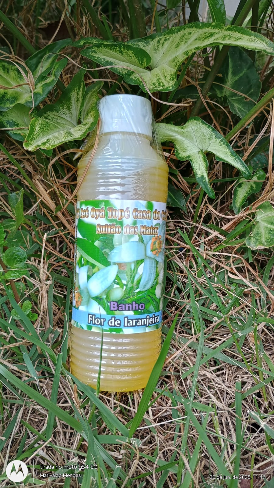 WhatsApp Image 2025-06-30 at 13.52.03.jpeg