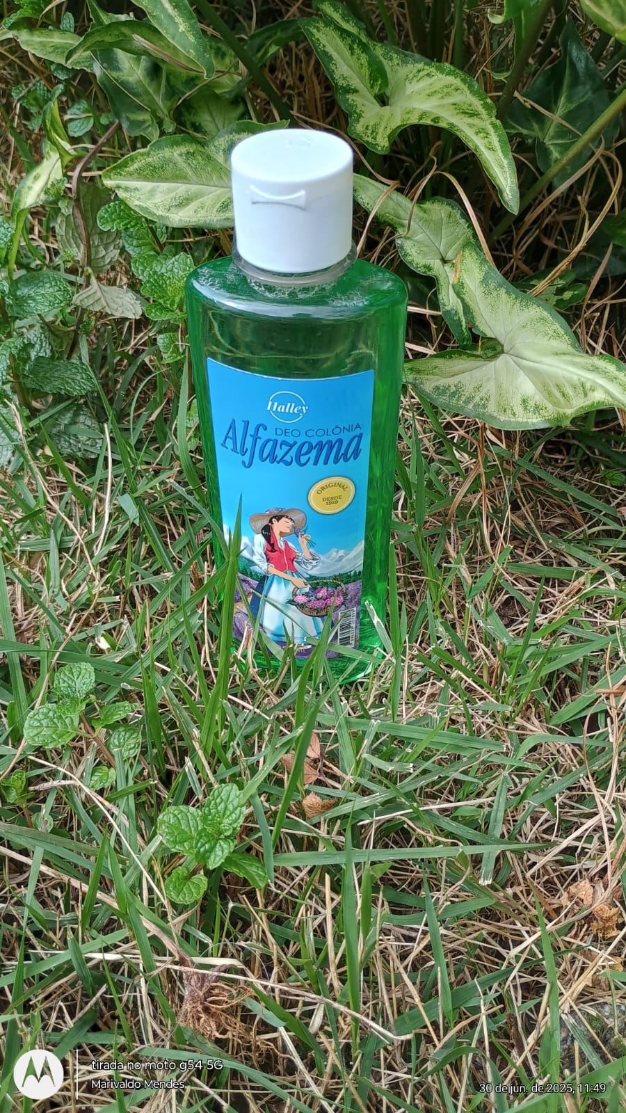 WhatsApp Image 2025-06-30 at 13.52.01 (4).jpeg