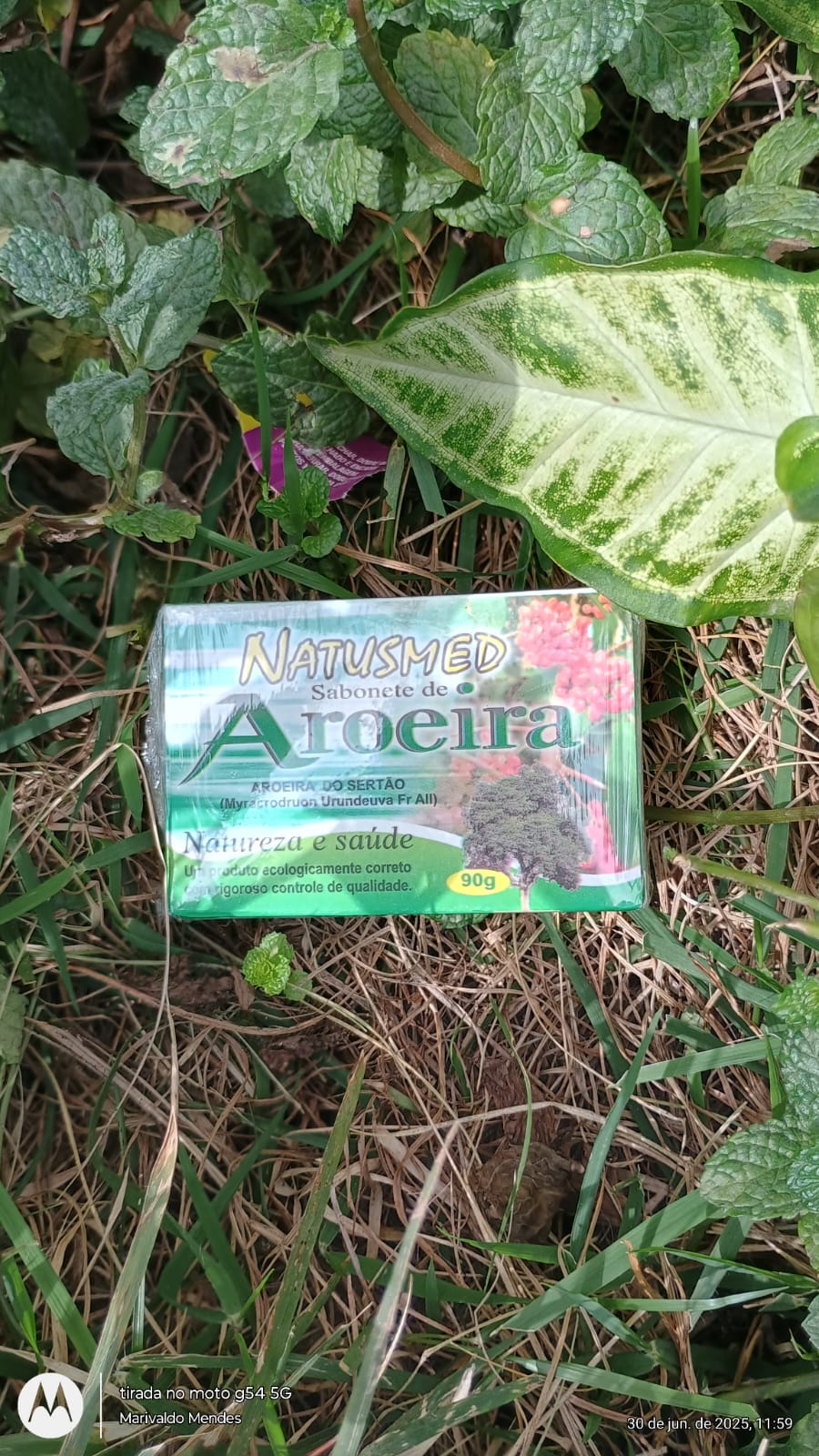 WhatsApp Image 2025-06-30 at 13.51.59 (2).jpeg