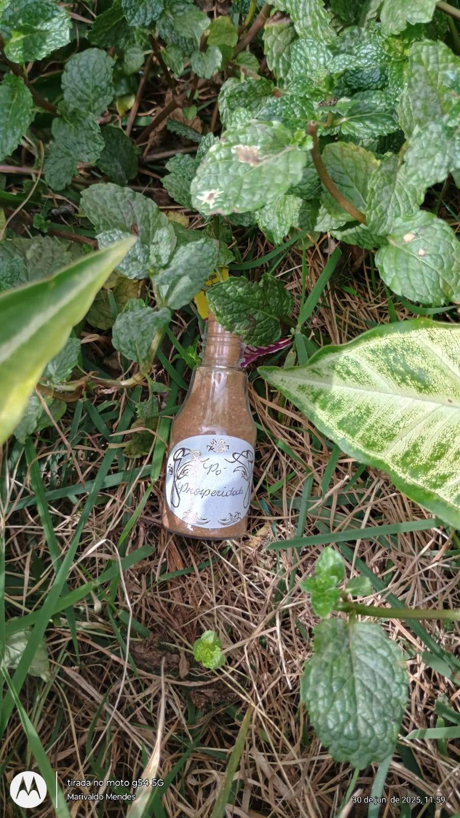 WhatsApp Image 2025-06-30 at 13.51.59 (1).jpeg